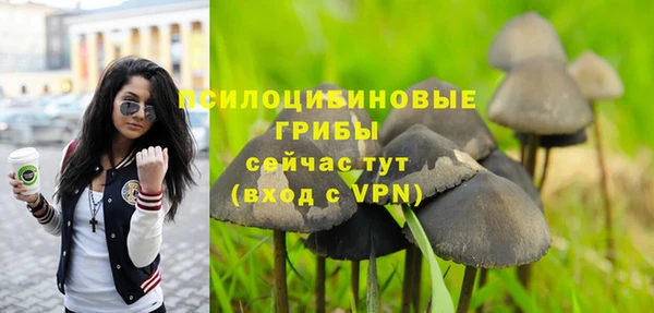 гидра Бронницы