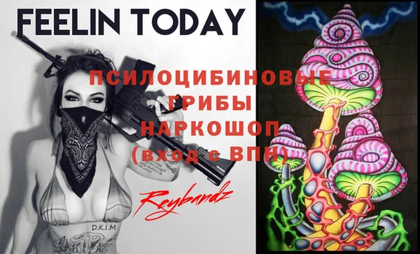 ECSTASY Вяземский