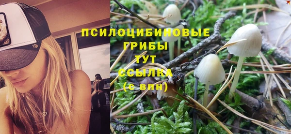соль курить ск Верхний Тагил
